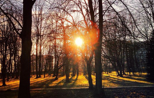 Krakowianie zaprojektują sobie park edukacyjny, miasto go wybuduje