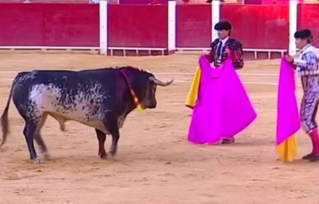 Nie żyje 29-letni hiszpański matador. To pierwszy taki wypadek od 30 lat