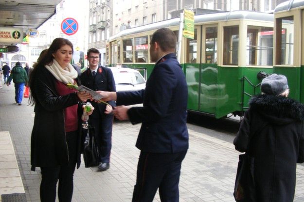 Po Poznaniu kursował tramwaj z tulipanami dla wszystkich pań