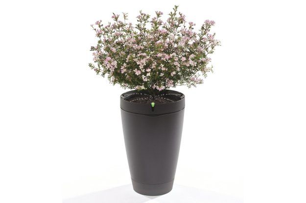 Parrot Pot - inteligentna doniczka