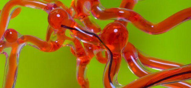 Sztuczny wąż w głowie