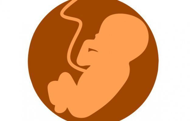 Druk 3D pomaga lekarzom przygotować się do operacji płodu