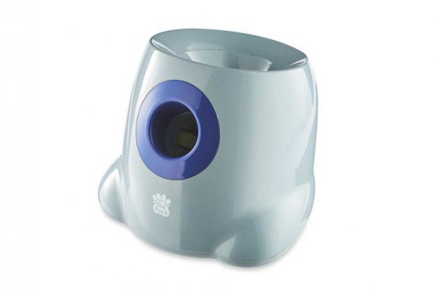 Za 70 funtów nie będziesz musiał bawić się z psem