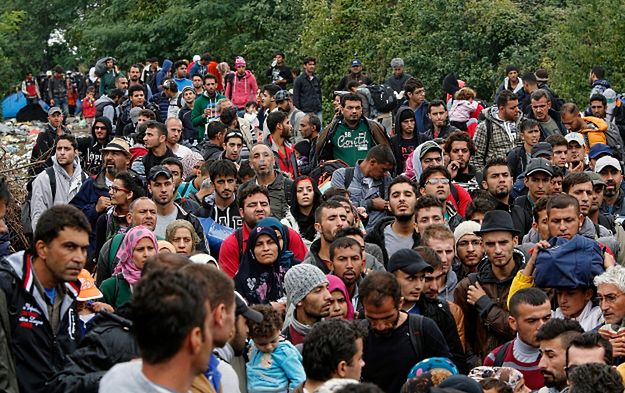 Według Niemiec ok. 30 proc. migrantów fałszywie podaje, że pochodzi z Syrii