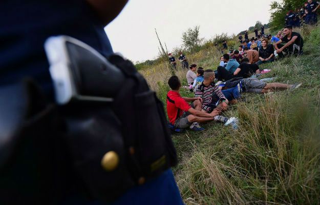 Węgrzy zaczęli budowę ogrodzenia na granicy z Chorwacją