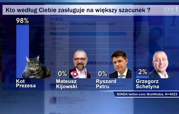 "Wiadomości" TVP pokazały sondę: kot prezesa zasługuje na większy szacunek niż Schetyna, Petru i Kijowski
