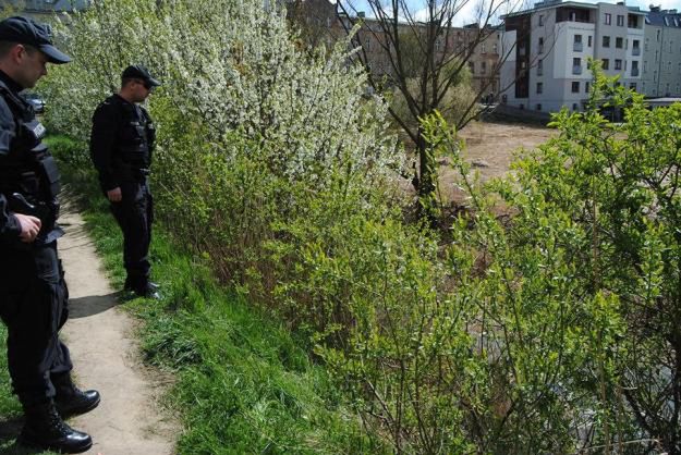 Policjanci i strażacy wspólnymi siłami uratowali mężczyznę, który wpadł do stawu w Gnieźnie