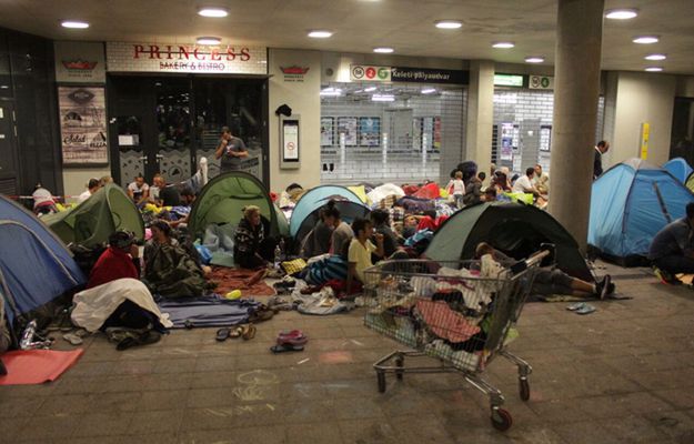 Zamknięcie granic nie pomogło. Wystarczy 10 tys. euro