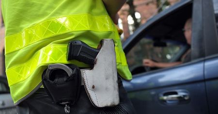 Ministerstwo Środowiska powoła nową służbę? Funkcjonariusze będą wyposażeni w broń, kajdanki i paralizator