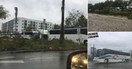 Jak fałszywy news żyje swoim życiem - autobusy z opłaconymi przeciwnikami Trumpa, których nie było
