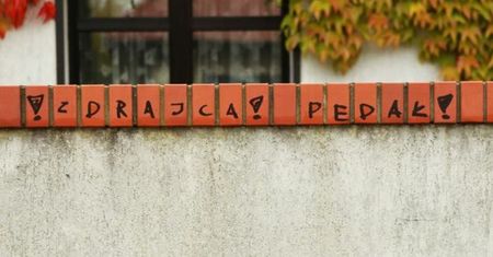 "Zdrajca" i "pedał" - obraźliwe napisy na murze wokół domu prezydenta Poznania