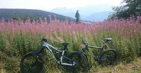 Tatry staną się rowerowym centrum Polski? Będzie nowa trasa wokół gór