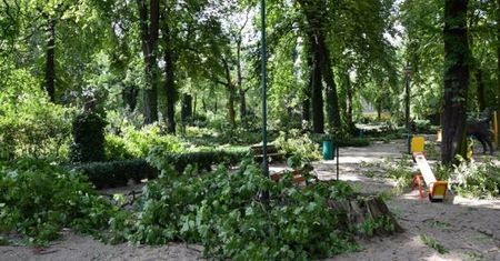 Sobotnia wichura połamała drzewa w Starym Zoo w Poznaniu. Ogród cały czas jest zamknięty