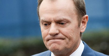 Groźne zaniechanie w ekipie Tuska. Tomasz Wróblewski: KOD - pokolenie "niezatrudnialnych"