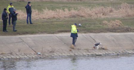 Sprawa zaginięcia Ewy Tylman. Psy tropiące niemieckiej policji szukały śladu 26-latki