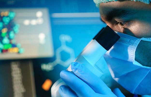 "Cell": pierwszy zarodek świni z ludzkimi komórkami