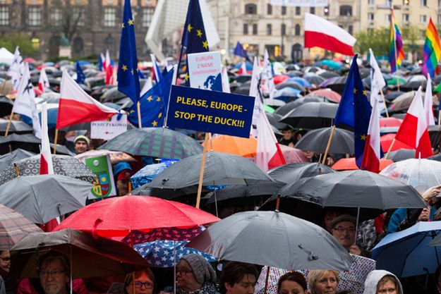 KOD odcina się od skandalicznego wpisu. "To internetowy troll. Popieramy wniosek PiS"