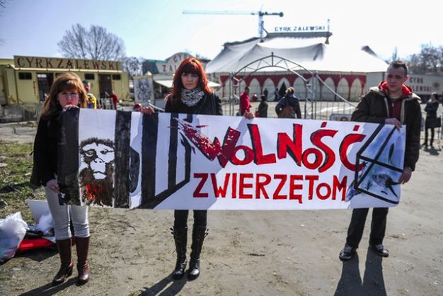 Jeden z protestów przeciwników wykorzystywania zwierząt w cyrku.