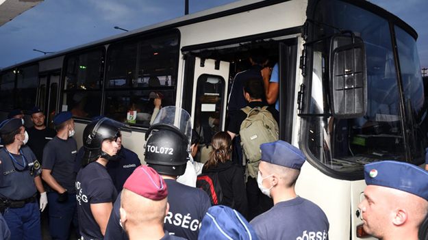 Imigranci podczas transportu do obozu dla uchodźców