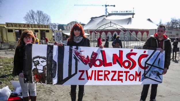 Jeden z protestów przeciwników wykorzystywania zwierząt w cyrku.