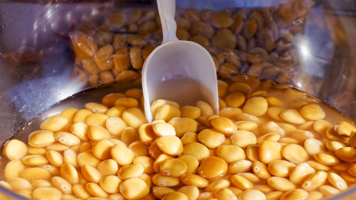 Łubin to bogate źródło błonnika