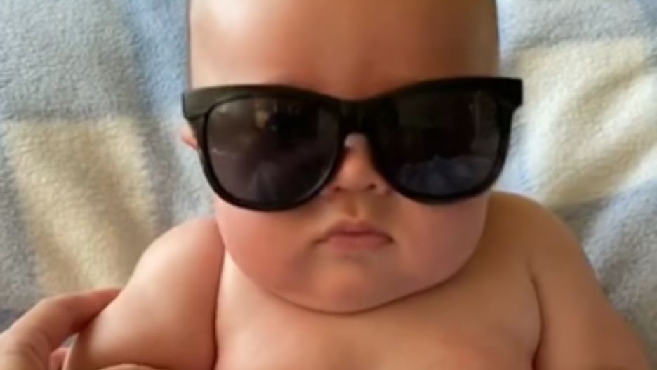 Ma pięć miesięcy i jest pokaźnych rozmiarów. Nagranie podbiło sieć