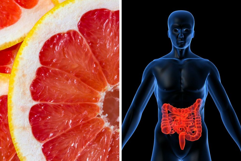 Grejpfruty oczyszczają jelita ze złogów