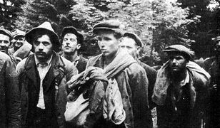 Ofiary UPA odnalezione w okolicach Przemyśla. IPN ustala, kim było 14 zamordowanych osób