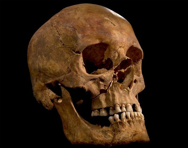 Badania szkieletu króla Ryszarda III potwierdzają prawdziwość relacji o jego śmierci
