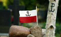 IPN rozpoczął kolejny etap poszukiwań ofiar komunizmu na Łączce