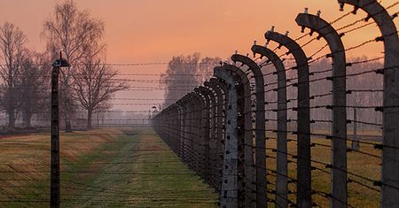 Dyrektorzy muzeów krytykują prokuraturę ws. "polskich obozów"
