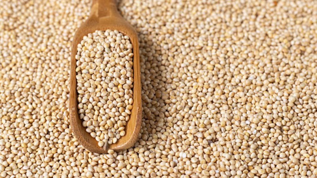 Naukowcy: Regularne jedzenie prosa obniża ryzyko cukrzycy typu 2. Pomaga też kontrolować poziom glukozy we krwi