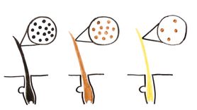 Dlaczego Słońce przyciemnia skórę, a rozjaśnia włosy? (WIDEO)