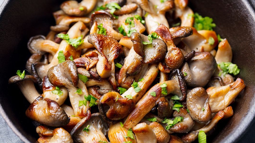 Czernidłak pospolity i alkohol to bardzo niebezpieczne połączenie.