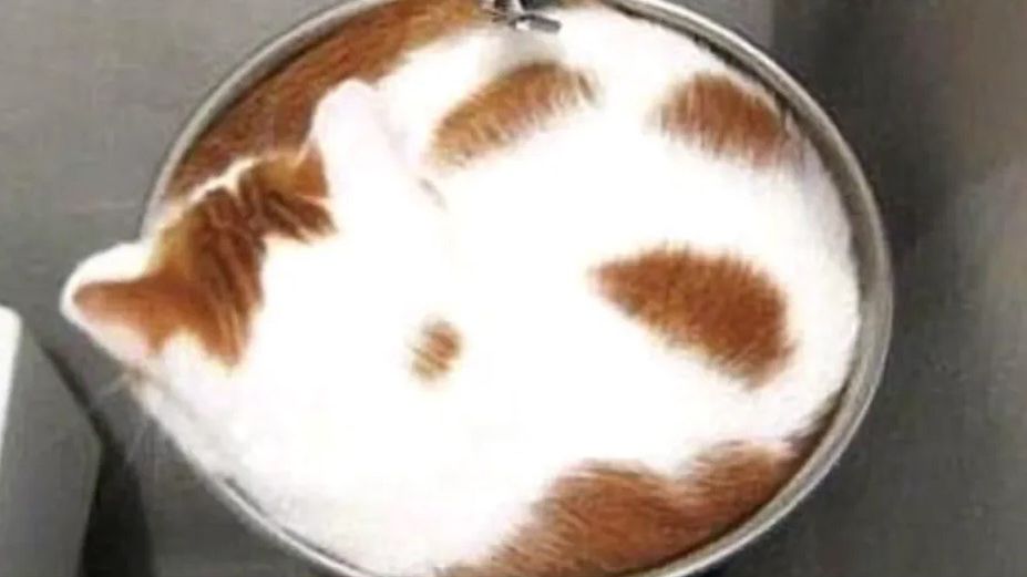 Ten test wiele powie o twoim charakterze