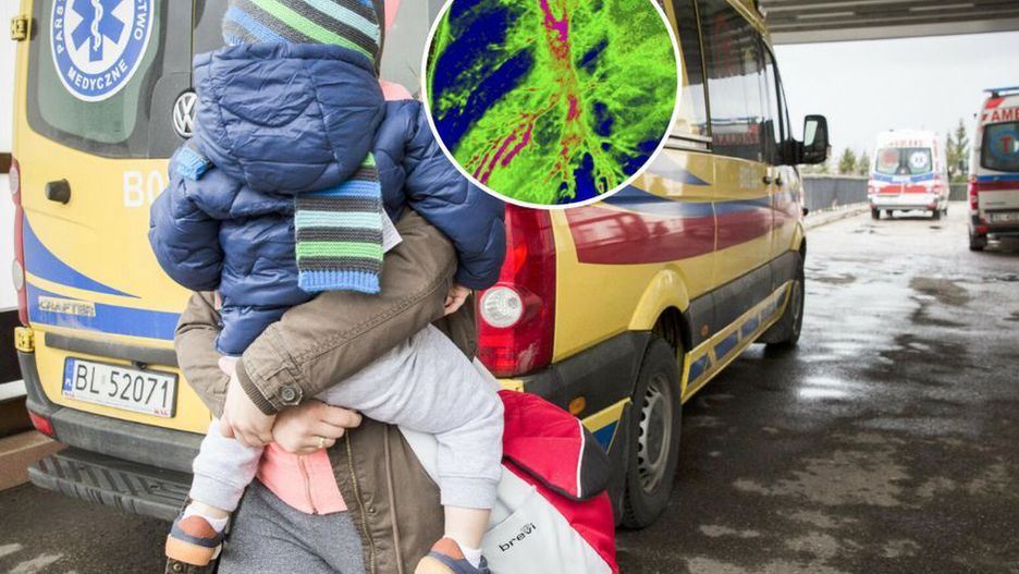 Fala krztuśca w Europie. Polska też doczekała się wielkiego powrotu choroby