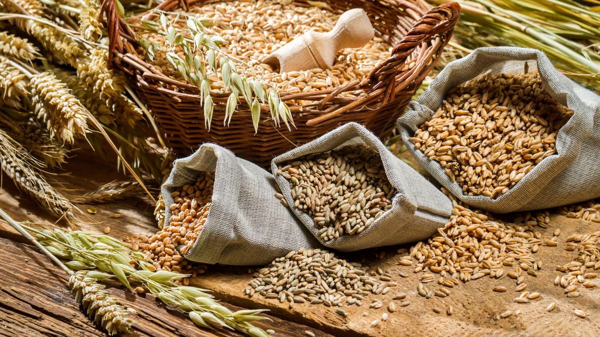 Kwas fitynowy znajduje się w  ziarnach zbóż, roślinach strączkowych i orzechach