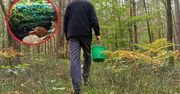 Niezwykły grzyb w polskich lasach. Wypatrzył go białowieski leśniczy