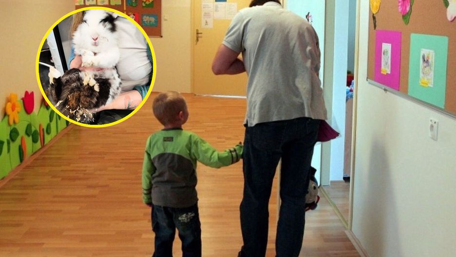 Interwencja Ekostraży w przedszkolu. "Królik trzymany jak wazonik w korytarzu"