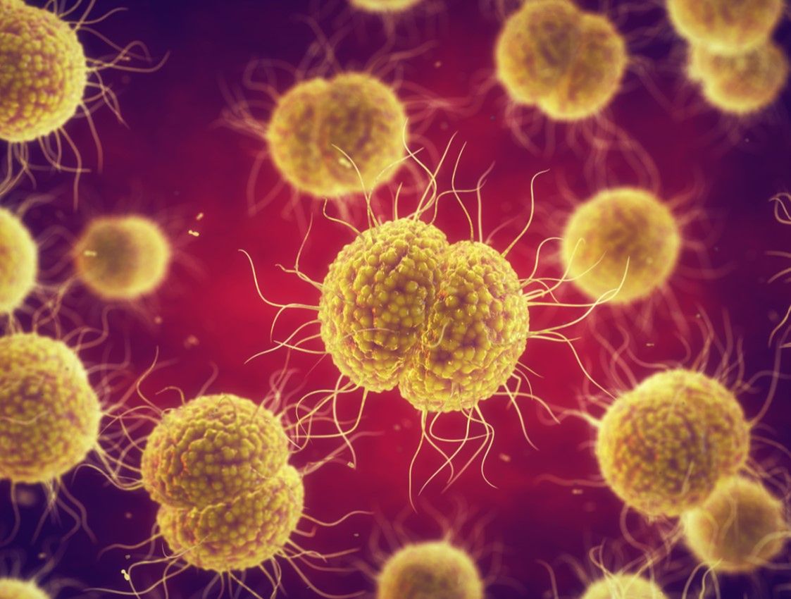 Dwoinka rzeżączki, zapalenia płuc i zapalenia opon mózgowo-rdzeniowych