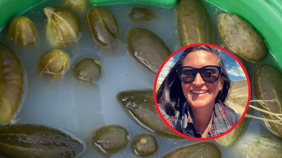 Woda po ogórkach kiszonych korzystnie wpływa na zdrowie