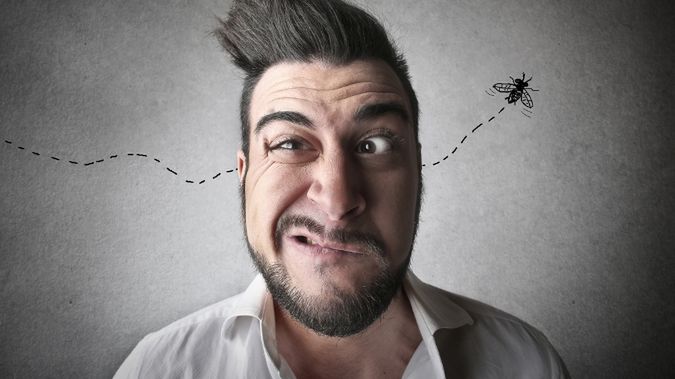 23 naturalne sposoby na łagodzenie bolesnych ukąszeń owadów