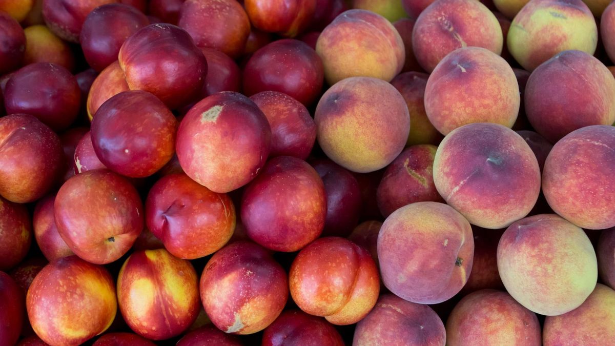 Brzoskwinia czy nektarynka? Niewielka różnica, duże korzyści dla zdrowia