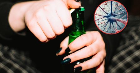 Co powstrzymuje nas przed piciem? Naukowcy mówią o "hamulcu w mózgu"