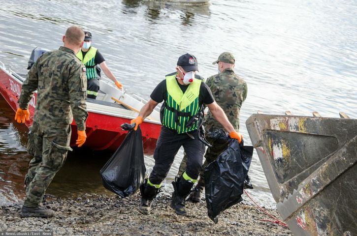 Skażenie Odry to katastrofa ekologiczna