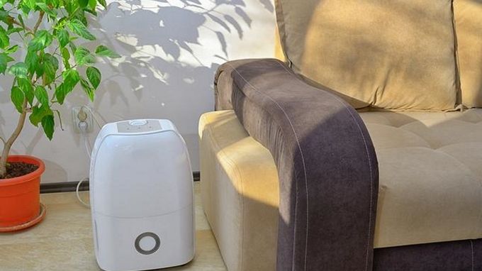 Oczyszczacz powietrza przyda się w domu każdego alergika