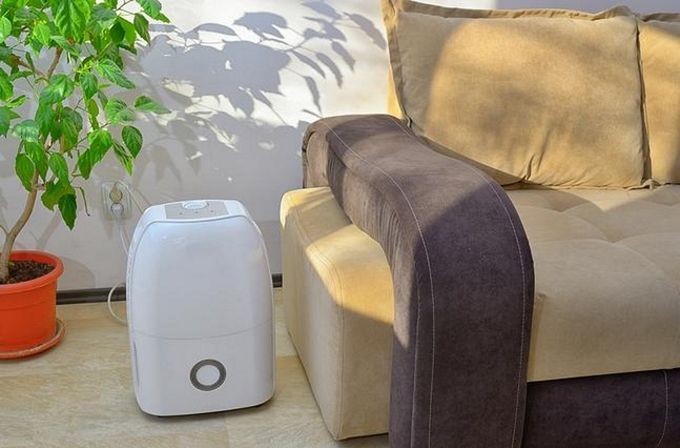 Oczyszczacz powietrza przyda się w domu każdego alergika