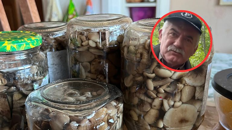 Rozpoczął się sezon na grzyby. Kazimierz Nóżka ma cenną radę