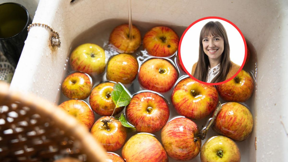 168 substancji hamuje wzrost lub uszkadza bakterie jelitowe