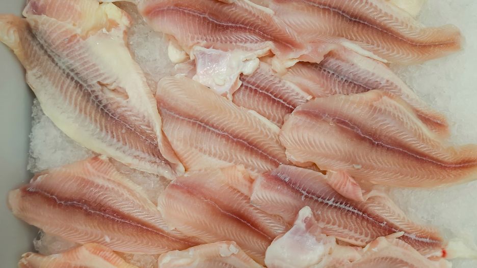 Jest gorsza niż panga. Tej ryby nie dawaj dziecku